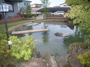 鯉の泳ぐ庭5
